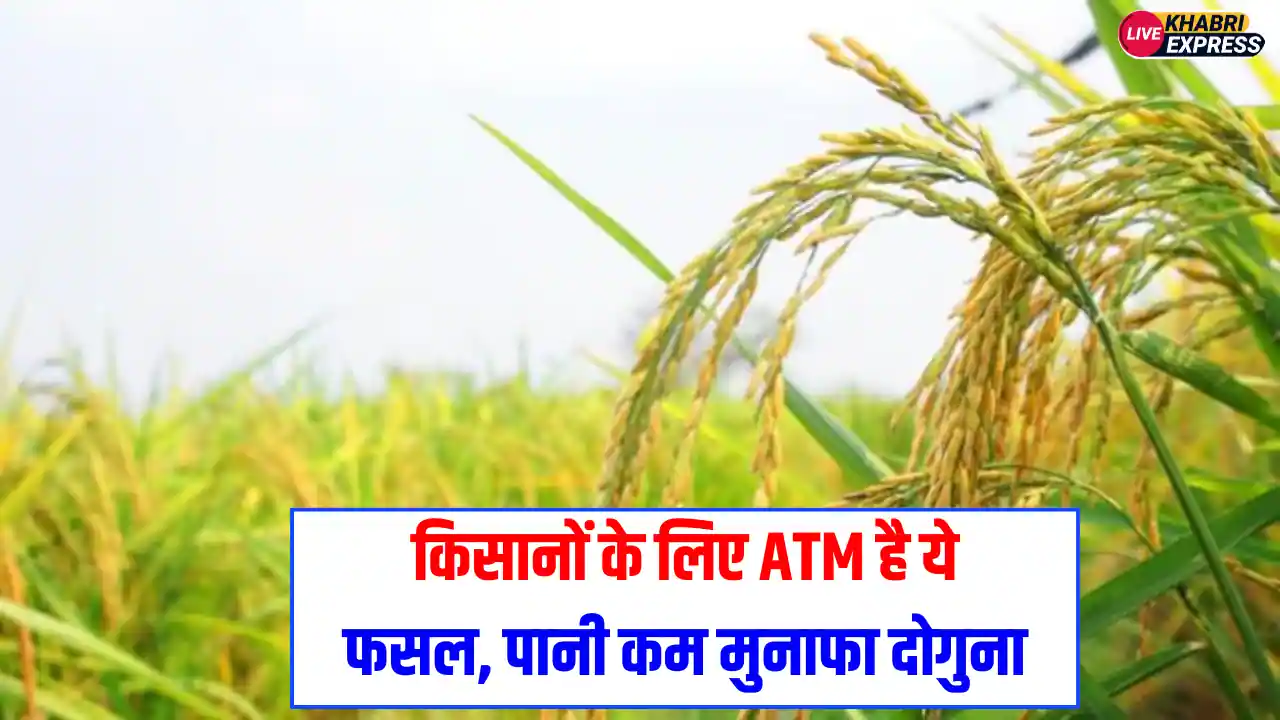 Agriculture News