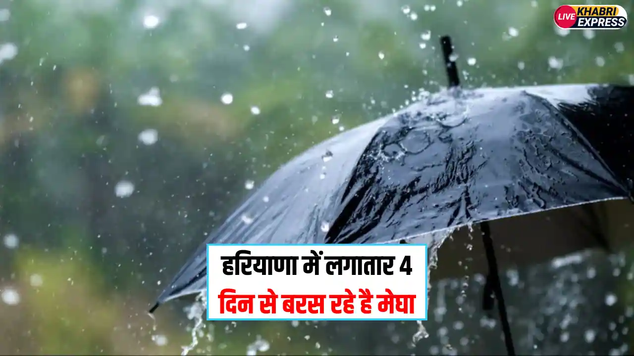 Haryana Weather
